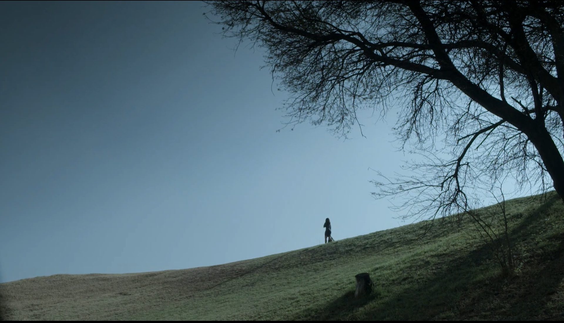 still 1
